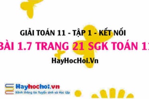 Giải bài 1.7 trang 21 Toán 11 tập 1 SGK Kết nối tri thức